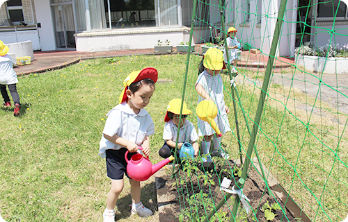 花壇活動